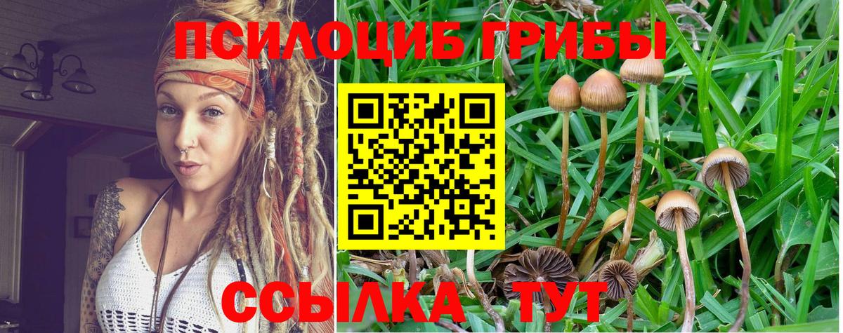 Галлюциногенные грибы мухоморы Электрогорск