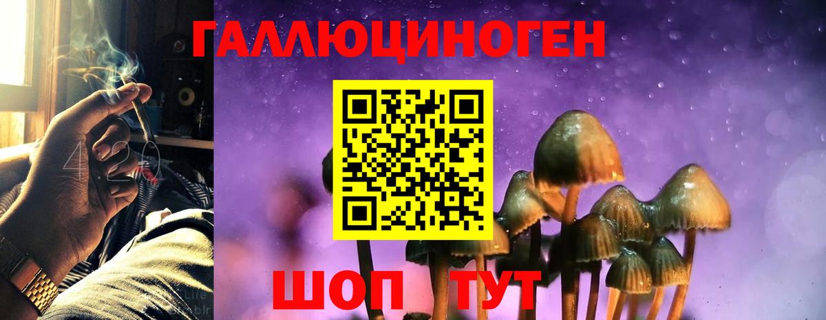 Галлюциногенные грибы GOLDEN TEACHER  Галлюциногенные грибы Psilocybine cubensis  Электрогорск  Вход с VPN 